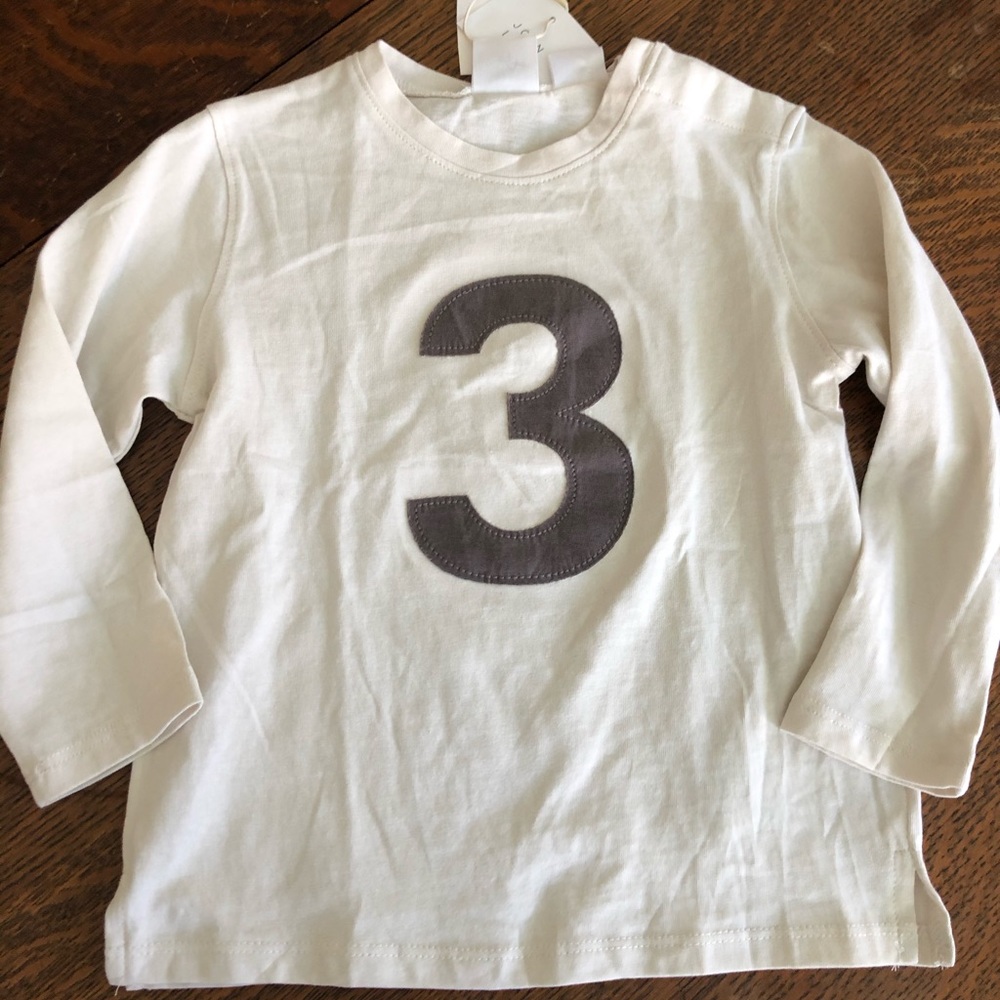 Zara 3 long sleeve shirt. Kids size 2/3